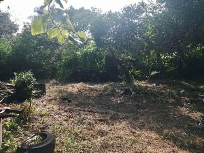 En Venta Terreno de 559 m2 con Casa a Demoler en Barrio Sajonia V164