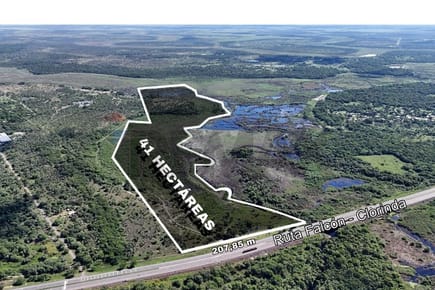 CAMPO DE 41 HECTAREAS EN NUEVA ASUNCION - PTE. HAYES EN VENTA