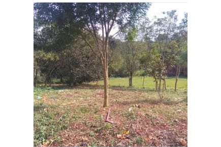 Terreno en venta – Ciudad del Este, Km 6 Monday