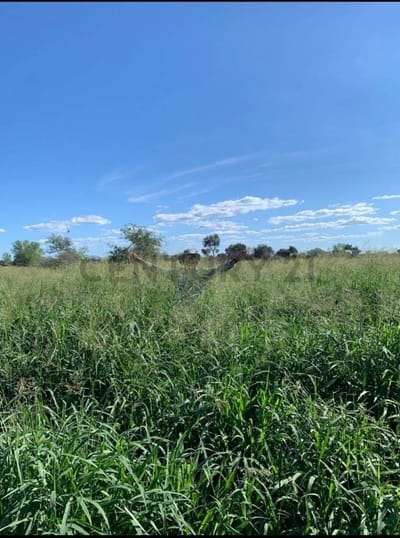 Venta de Estancia/Ganadera en Mariscal José Félix Estigarribia, Boquerón