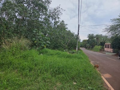 Vendo Terreno Presidente Franco, Cerca al Puente de la Integración, Mide: 5.000 mts2