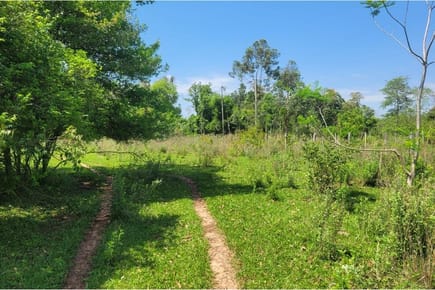 INVERTÍ en una Finca Agrícola en Ñurundiay