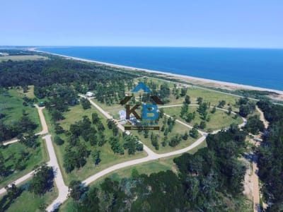 Terreno en Venta