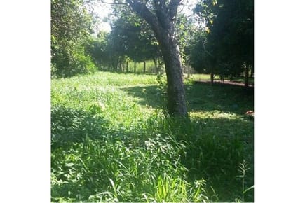 "Inversión Perfecta: Terreno Ideal en Obligado"