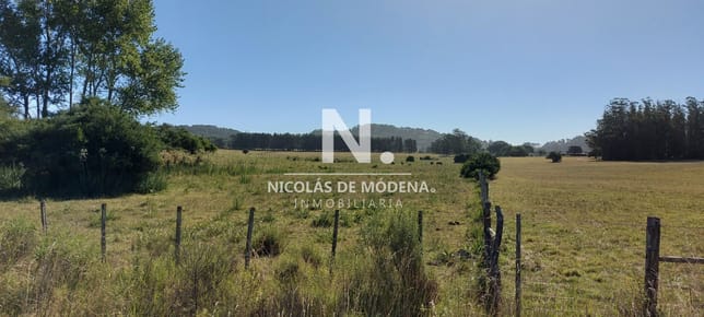  en Venta
