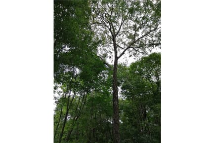 750 m2 de terreno a 13 km de Encarnacion