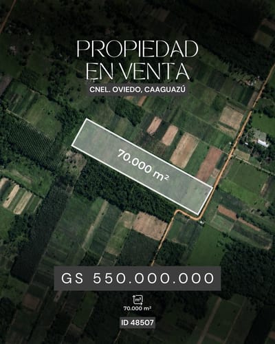 Vendo 7 Hectares En Coronel Oviedo  A 3 Km De La Ruta , Ideal Para Loteamiento
