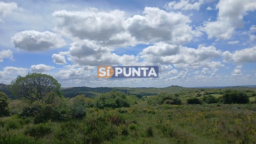 Chacra o Campo en Venta