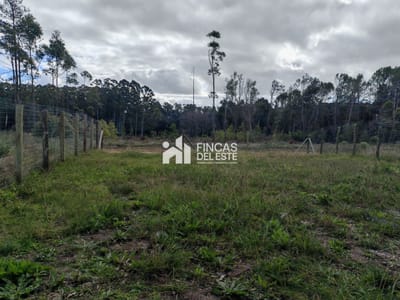Terreno en Venta