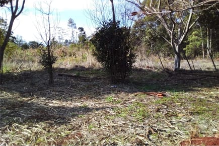 AMPLIO TERRENO, IDEAL PARA INDUSTRIA Y/O COMERCIO