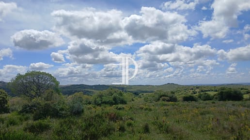 Chacra o Campo en Venta