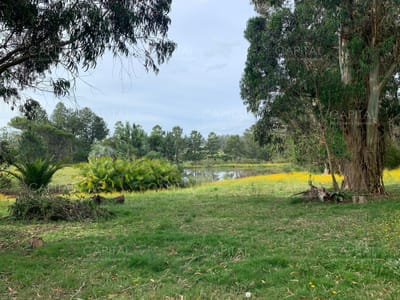 Terreno en Venta