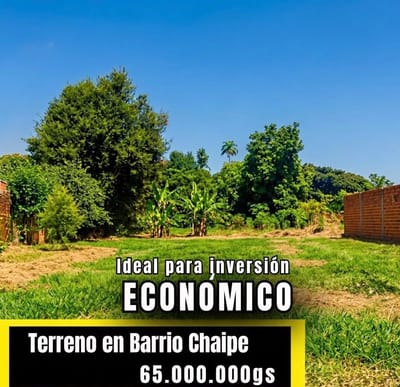VENDO TERRENO EN ENCARNACION