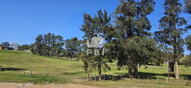 Terrenos en venta frente a Club de Golf de Punta del Este - Ref : PBI13973