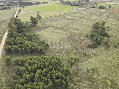 Terreno Para Desarrollo Proximo a Interbalnearia Zona el Pinar