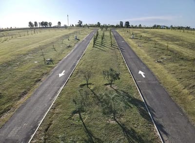 Terreno Olivos de Los Horneros