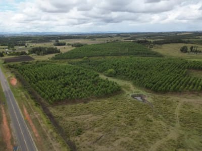 Campo en Venta en Migues Oportunidad Inversion