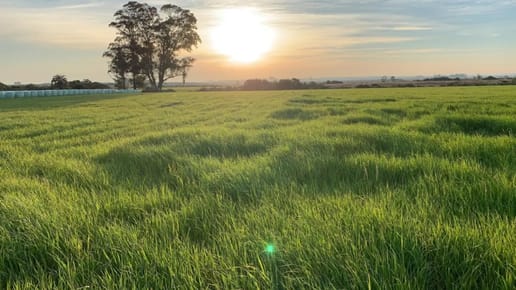 Chacra en Venta de 35ha Ubicado en Garzon Abajo