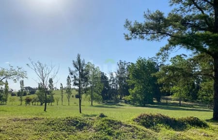Terreno en Olivos de Los Horneros