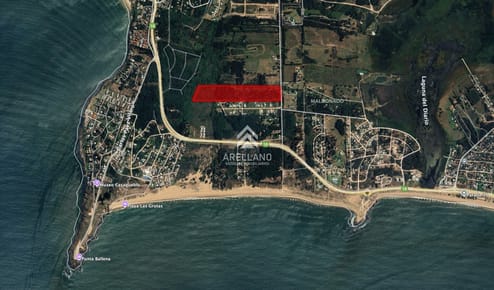 Chacra en Punta Ballena 15 hectareas