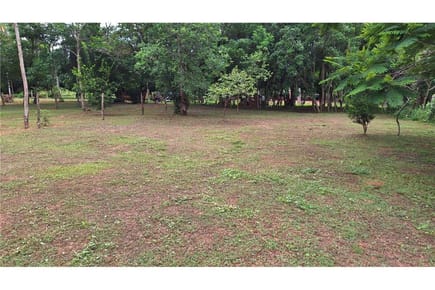 AMPLIO TERRENO EN VENTA EN DIST. DE EUSEBIO AYALA