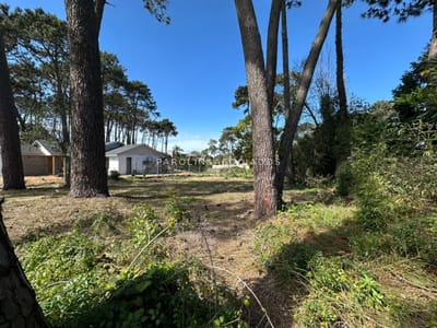 Terreno en Venta en Marly, Punta del Este
