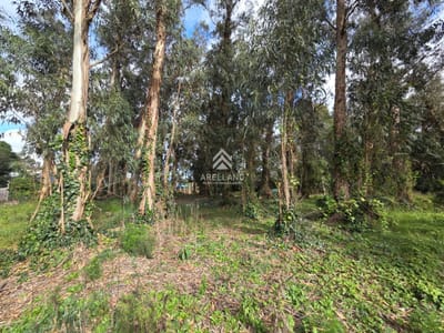 Venta Terreno, el Jaguel 1.385 Mts2 Esquinero.