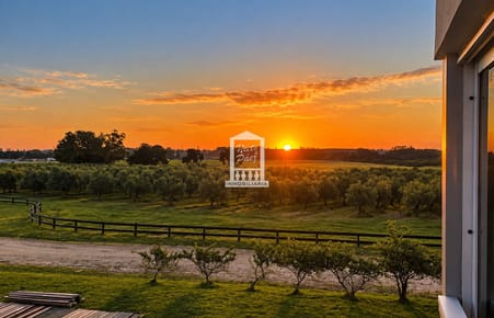 Mega chacra, 750 m2 construidos, 9 dorm, piscina cubierta, 2.700 olivos