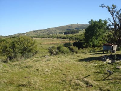 Sierra de Carapé, 131 hectáreas