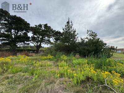 TERRENO DE 1500MTS EN SAN VICENTE