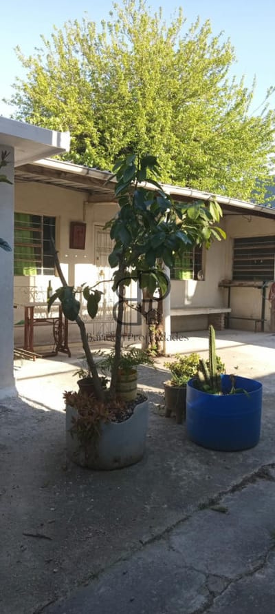 Alquiler Apartamento tipo Casa 1 Dormitorio Centro