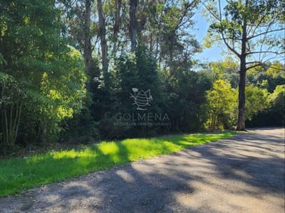 Terreno de 4226 m2, en Las Cumbres- Punta Ballena.