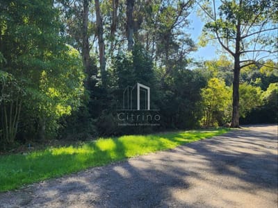 Vende terreno amplio de 4226 m2, en Las Cumbres- Punta Ballena.