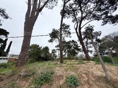 OPORTUNIDAD - Terreno en venta - Punta del Este