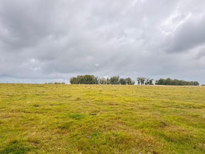 Campo en Rocha es excelente.