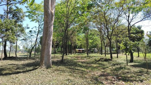 VENTA DE TERRENO CON CASA – PIRIBEBUY