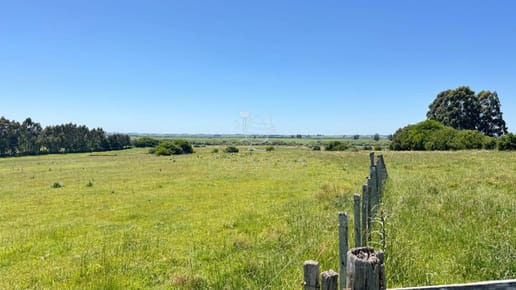 Campo en Rocha es excelente.