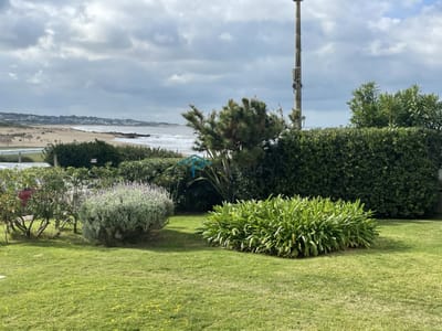 APARTAMENTO DE 1 DORMITORIO EN ALQUILER A PASOS DE PLAYA MONTOYA