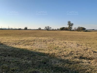 Chacra de 5HAS en venta pegado al Club de Tiro