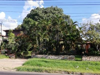 VENDO TERRENO SOBRE AVDA. EX TRANSCHACO - LOMA PYTA