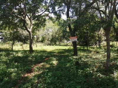 En Venta Terreno de 720 m2 en Luque - Barrio Zárate Isla V156