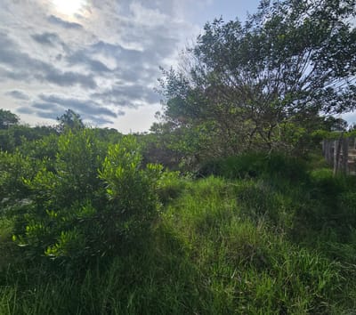 Hermoso terreno en venta en Chihuahua-cerca del mar