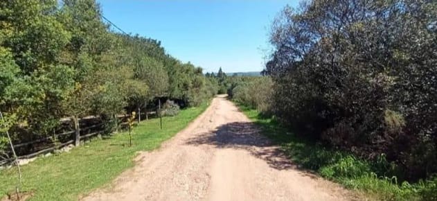 Terreno en venta en Marco De Los Reyes con 2 lotes de 800 m2 c/u
