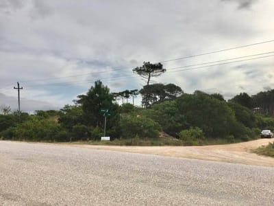 Venta Lote 1000m2 A Dos Cuadras De La Playa En Venta - Chihuahua, Punta Del Este