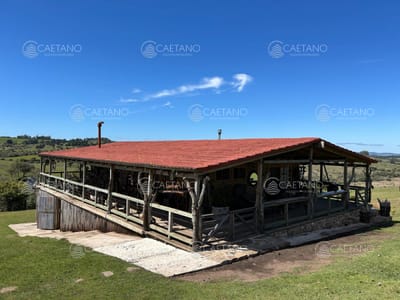 Chacra en Pueblo Edén 11ha