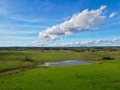Chacras de 3ha/60 ha en Garzón, con caminería y luz en la portera.