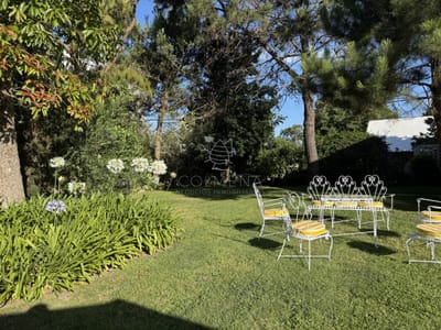 Casa en alquiler en punta