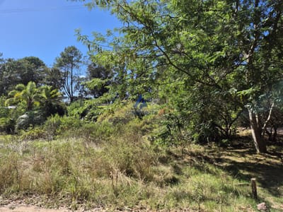 Terreno en Venta en Ocean Park