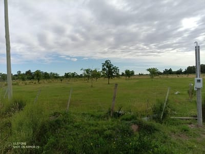 Campo en venta de 9503m2 ubicado en Santa Monica