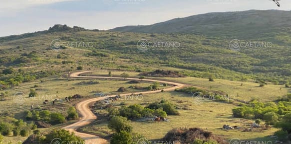 Venta chacra 5 hectáreas. Pueblo Edén, Ruta 12 Maldonado.